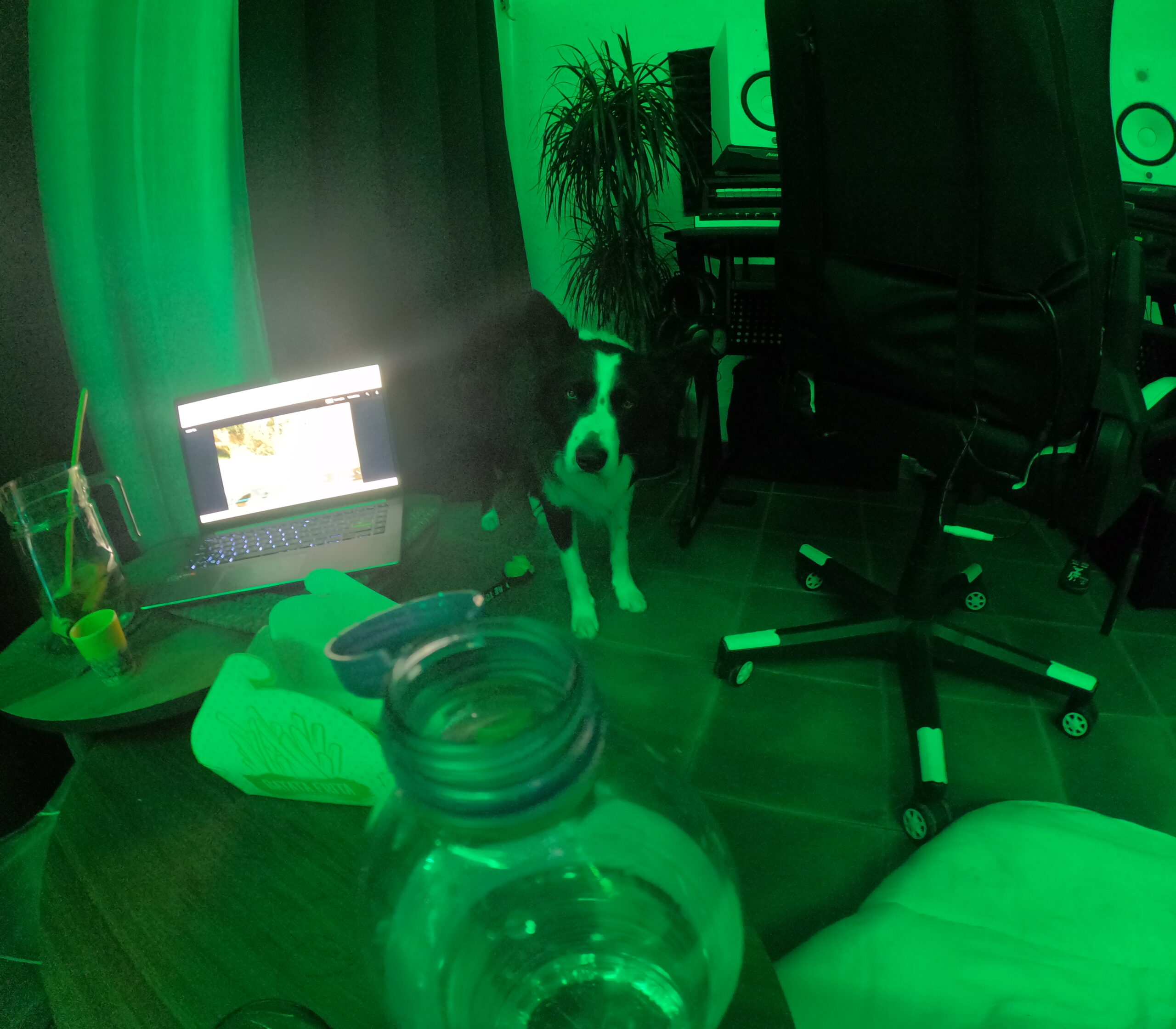 Como Ter Mais Plays e Streams nas Tuas Músicas de Rap